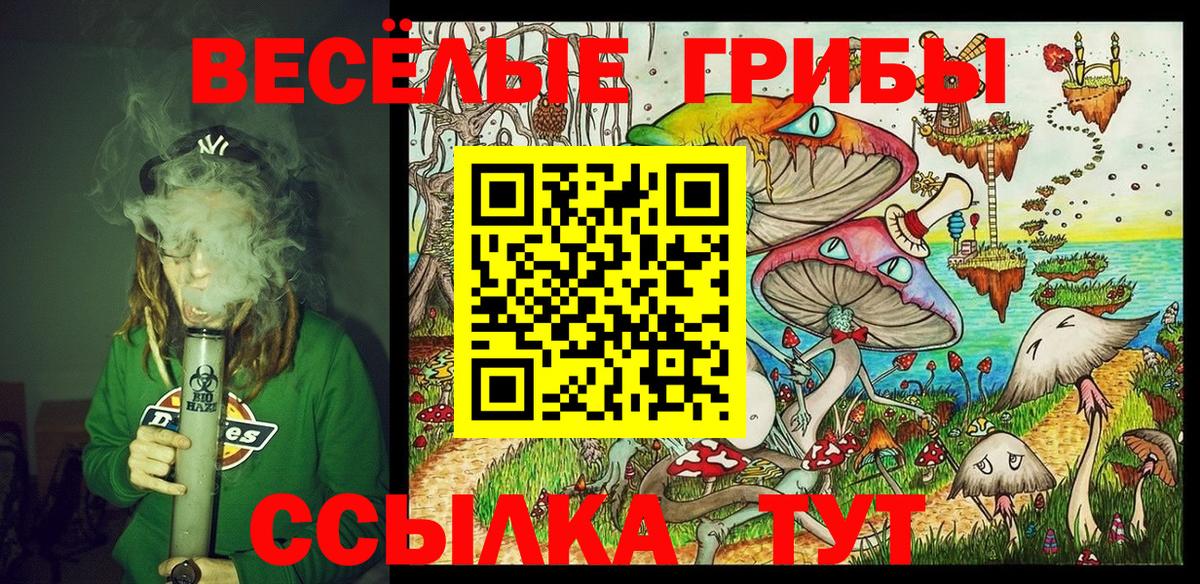 Псилоцибиновые грибы MAGIC MUSHROOMS  Вход с VPN  Семилуки 